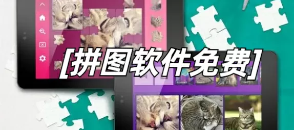 男主跟女主啪过的动漫最新版