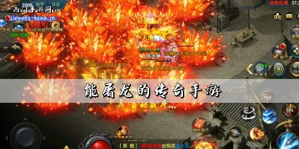 小8结婚中文版