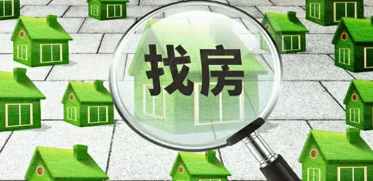 天堂的树下载最新版