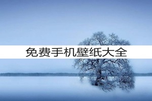 奇迹 韩雪最新版