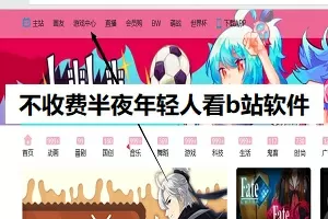 黑白txt新浪最新版