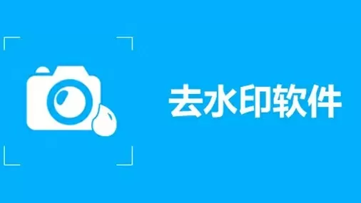 小白菜奇案全集中文版