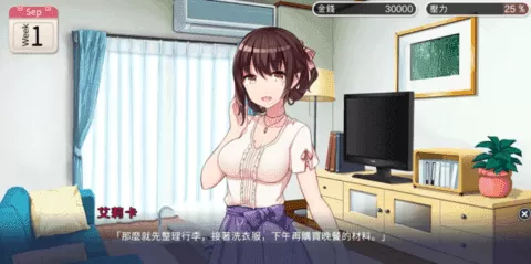 美姐驯服计划中文版