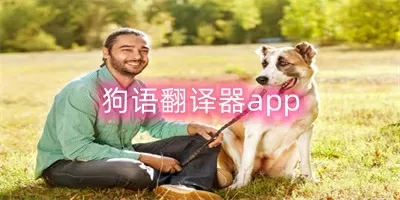 我要的情深似海中文版