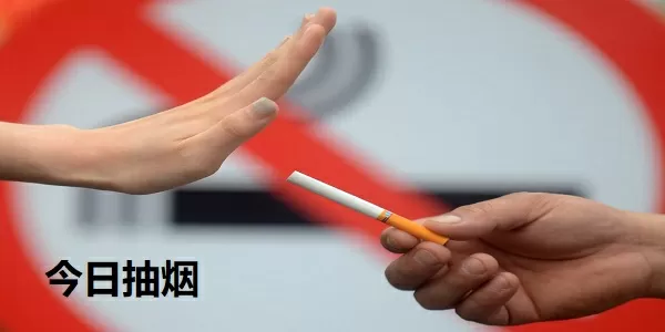 龙王的女婿txt下载最新版