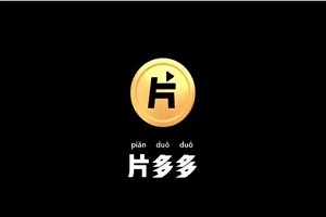 极乐篮球风暴中文版