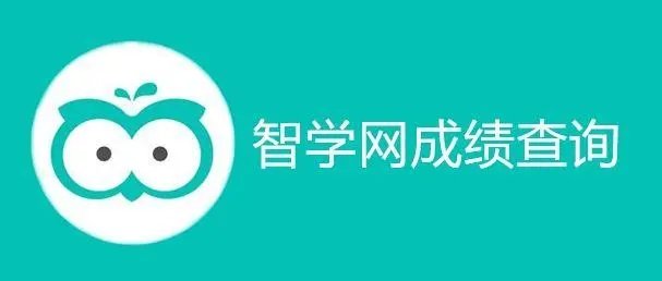 俄罗斯格斗冠军中文版