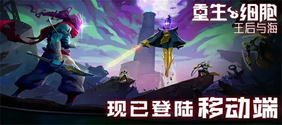 韩国混血明星最新版