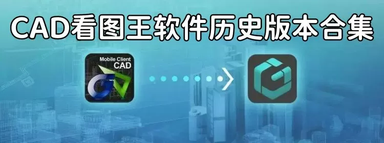 这个王妃很淡定最新版