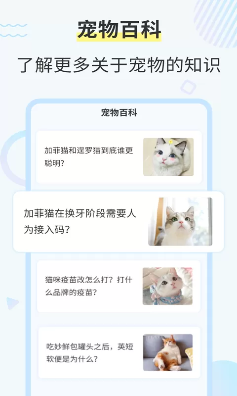 托比小黑免费版